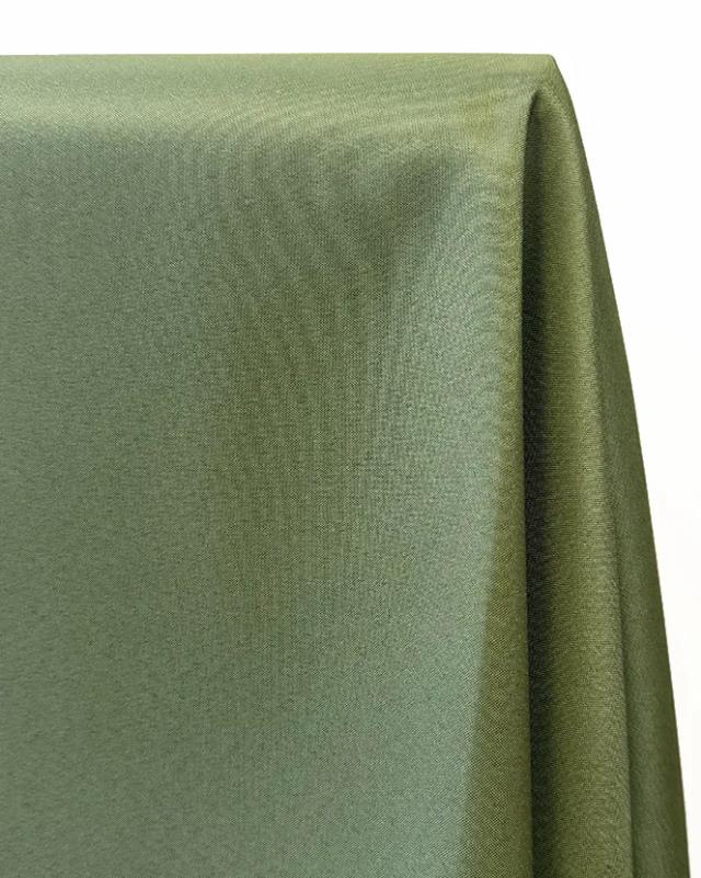 Rental store for NAPKIN, DARK OLIVE  20  X 20 in Minneapolis MN